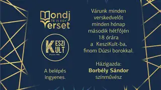 Mondj Te is egy verset!