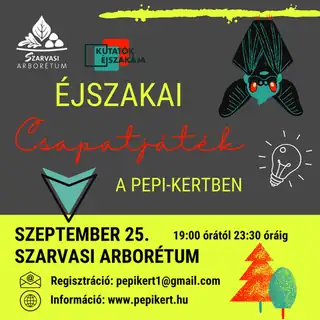 Éjszakai csapatjáték