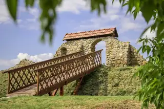 Mohács 500