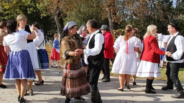 Szüreti felvonulás — Szákszend, Szákszend