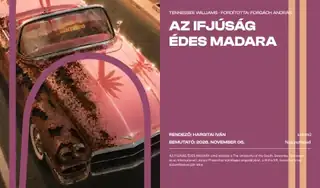 Az ifjúság édes madara