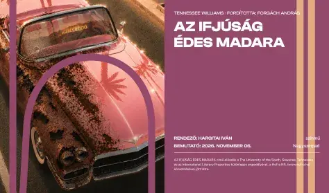 Az ifjúság édes madara — Csiky Gergely Színház, Kaposvár