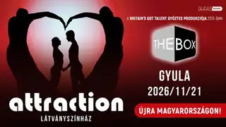 Attraction Látványszínház: The Box