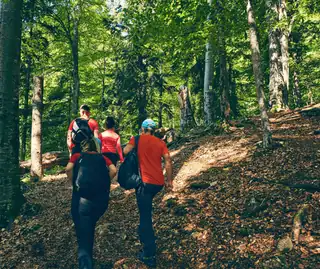 NAGYKOVÁCSI TÚRANAP teljesítménytúra – ÉJJEL – 8K/12K/21K