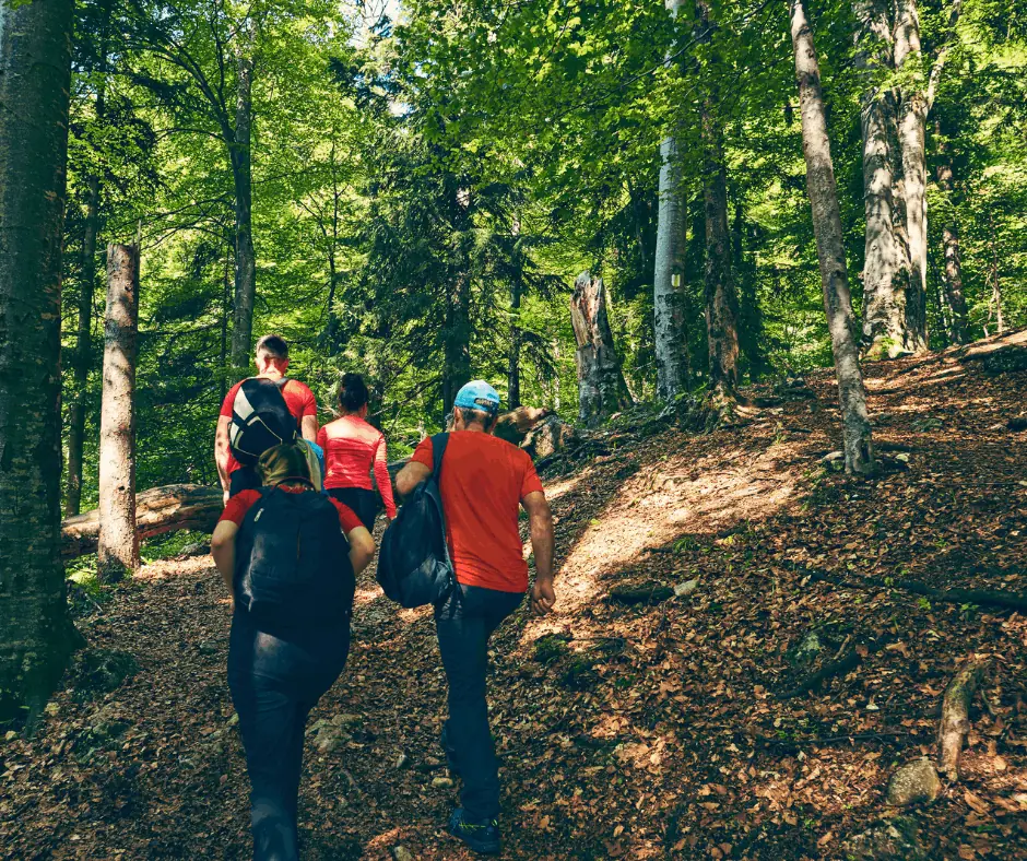 NAGYKOVÁCSI TÚRANAP teljesítménytúra – ÉJJEL – 8K/12K/21K — Madas László Erdészeti Erdei Iskola-Erdei Művelődés Háza, Visegrád