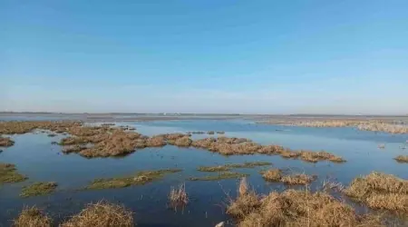 Négy évszak túra az Apaji-halastavakon - ŐSZ — Madárkapitányok Kilátó, Bugyi