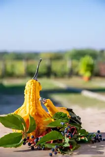 Tök jó barangolás a Monori Pincefaluban