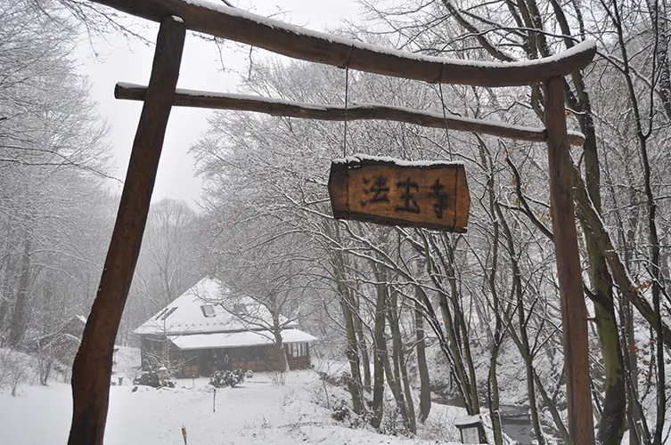 Winter camp — Hoboji Zen Temple, Pilisszentlászló