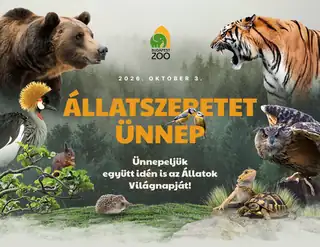 Állatszeretet ünnep 2026