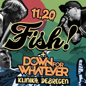 Fish! — Klinika Egyetemi Klub, Debrecen