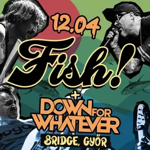 Fish! — Bridge, Győr
