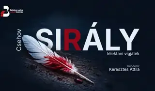 Sirály
