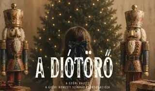 A diótörő