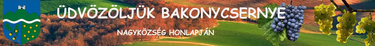 Közmeghallgatás · Bakonycsernye, Bakonycsernye