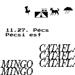 Cataflamingo — Pécsi Est Café, Pécs