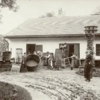 Szüret a Svábhegyen · Hegyvidéki Helytörténeti Gyűjtemény És Galéria, Budapest