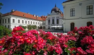 Három Rózsa Túra