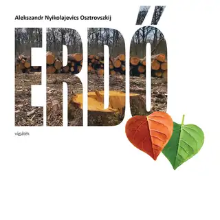 Ágnes asszony / Tetemre hívás (14)