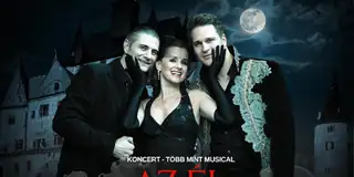 Az éj eleganciája