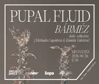 KIÁLLÍTÁSMEGNYITÓ: holo- : Pupal Fluid // Bábméz