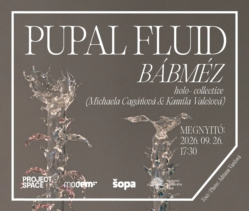 KIÁLLÍTÁSMEGNYITÓ: holo- : Pupal Fluid // Bábméz — MODEM Modern és Kortárs Művészeti Központ, Debrecen