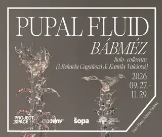 holo-: Bábméz