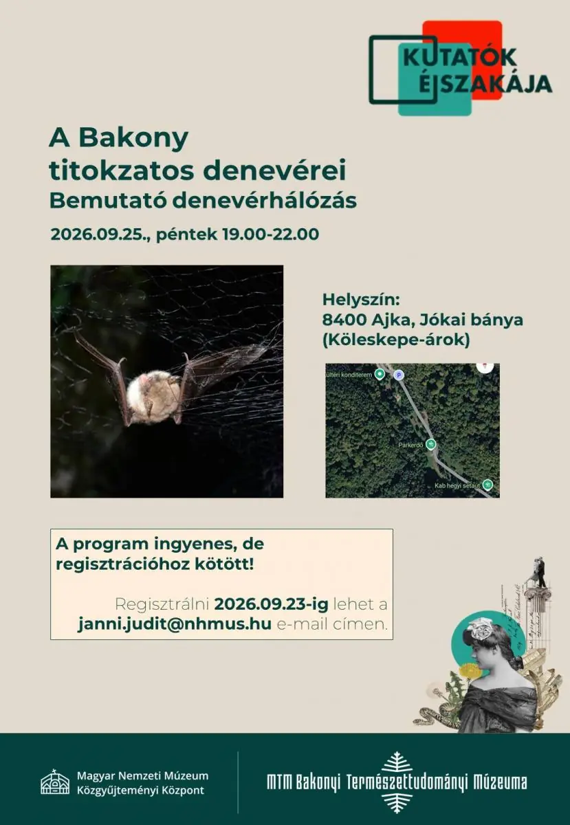 KUTATÓK ÉJSZAKÁJA - A Bakony titkos denevérei — Bakonyi Természettudományi Múzeum Kiállítása, Zirc