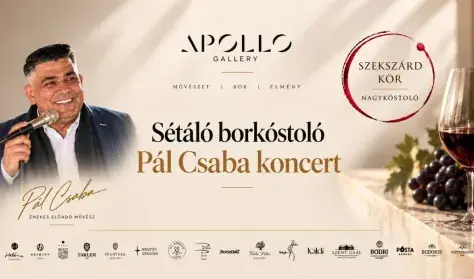 Szekszárd Kör Nagykostoló & Pál Csaba az Apollo Galleryben — Apollo Gallery, Budapest