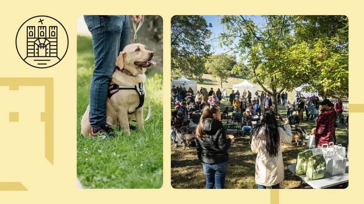 Kutyás piknik az állatok világnapja alkalmából — virág benedek ház, Budapest