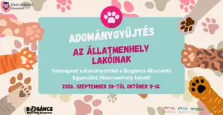 Adománygyűjtés az Állatmenhely lakóinak 2026.