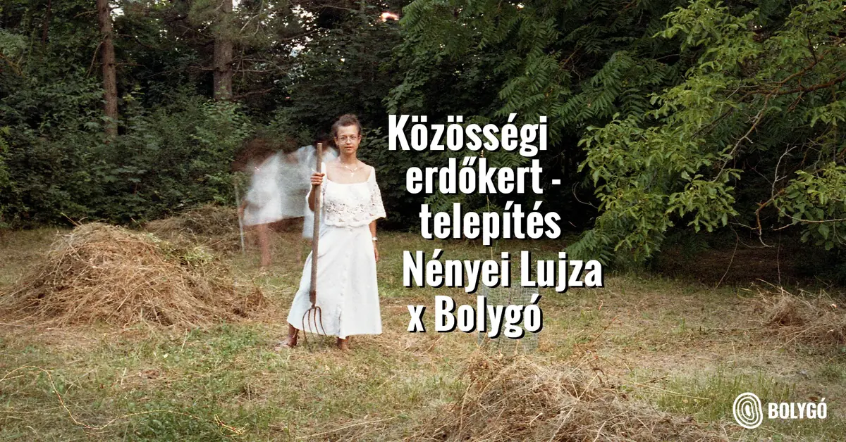 Közösségi erdőkert-telepítés - Nényei Lujza x Bolygó — Bolygó Közösségi Tér, Budapest
