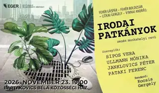 IRODAI PATKÁNYOK