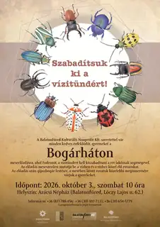 Meseelőadás