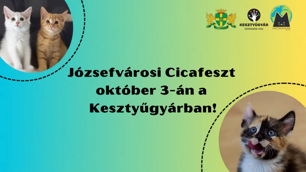 Vegyen részt programjainkon és fogadjon örökbe a Józsefvárosi Cicafeszten! — Józsefvárosi Roma Önkormányzat, Budapest