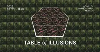 TABLE of ILLUSIONS