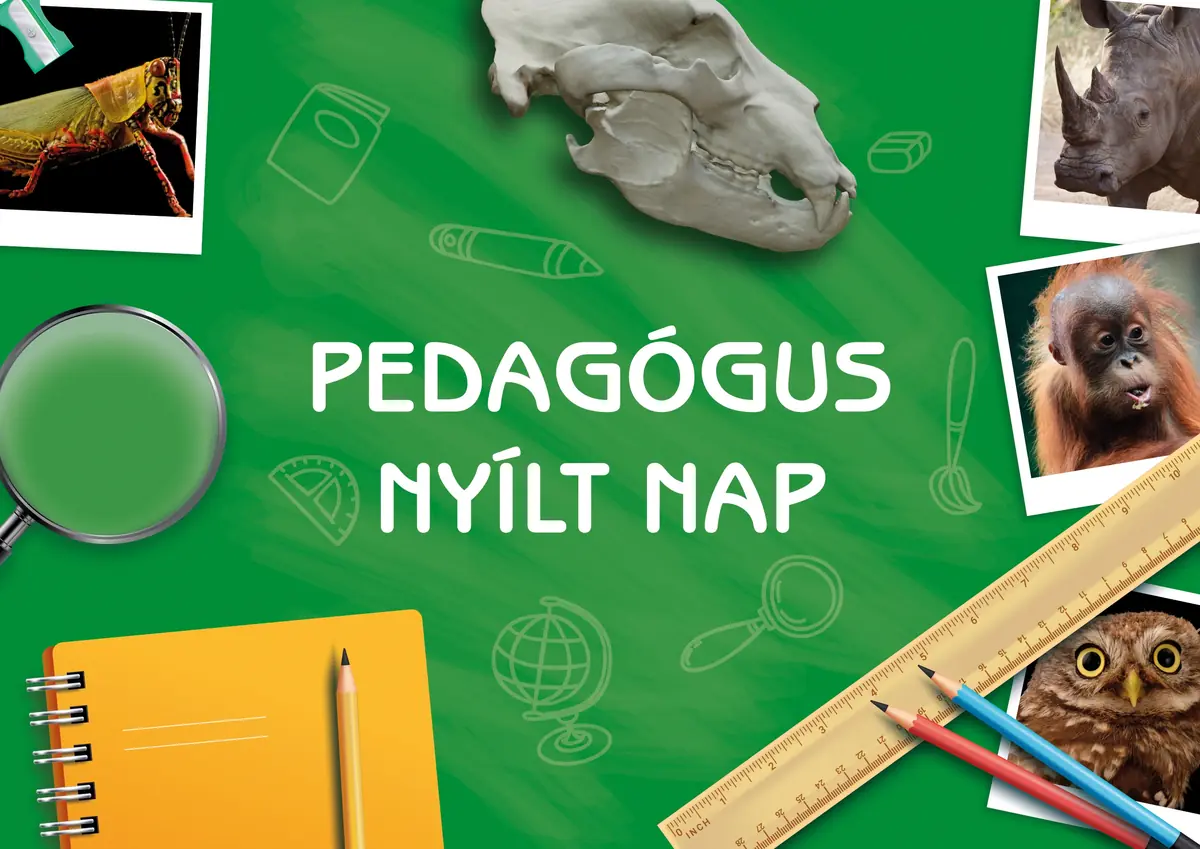 Pedagógus nyílt nap 2026 ősz · Margitszigeti Kisállatkert, Budapest