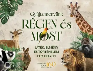 Gyűjteményünk régen és most – újra közkívánatra!