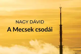 „A Mecsek csodái” természetfotó-kiállítás