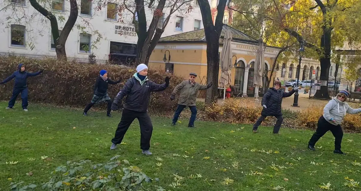 Taiji a Hunyadi téren! — eötvös10 művelődési ház, Budapest