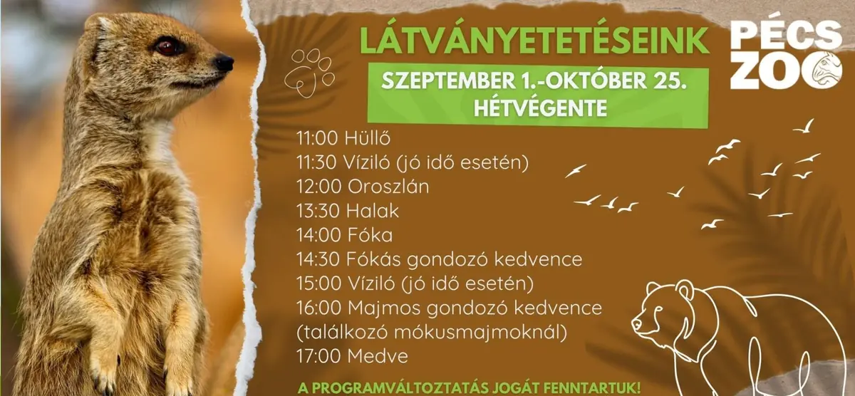 Látványetetések a Pécsi Állatkertben — pécsi állatkert és akvárium-terrárium, Pécs