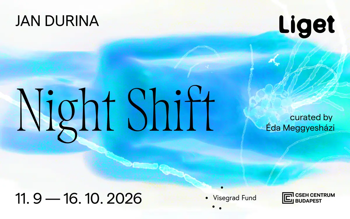 Jan Durina: Night Shift — Liget Galéria, Budapest