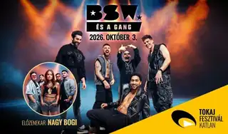 BSW és a GANG