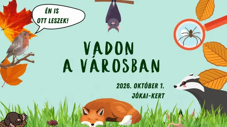 VADON A VÁROSBAN — Pál-Völgyi-Barlang, Budapest