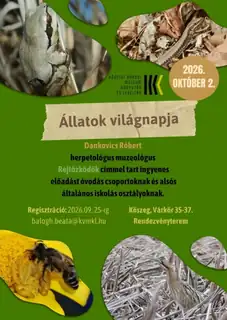 Állatok Világnapja - Rejtőzködők