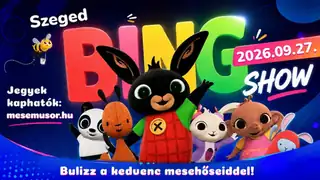 Bing Show Szegeden