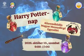 OKN: Harry Potter-nap