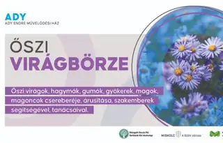 Őszi virágbörze