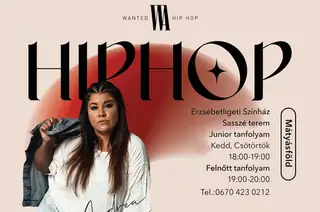 Wanted Hip Hop