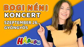 Bogi néni koncert