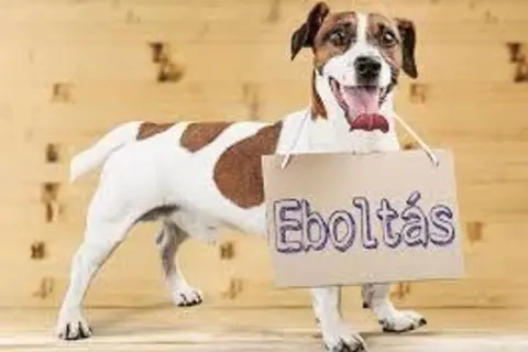 Eboltás · Nárai, Nárai